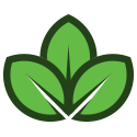 Environmenttal Leaf Icon